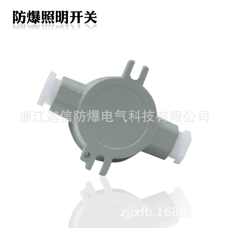 Sw-10 Explosion-Proof Lighting Switch 10A Waterproof and Dustproof Control Switch 220V380V Aluminum Alloy Explosion-Proof Switch