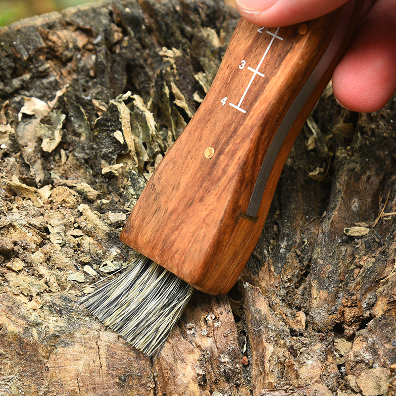 Rosewood mushroom knife multifunctional outdoor knife camping knife brush outdoor survival folding knife folding knife