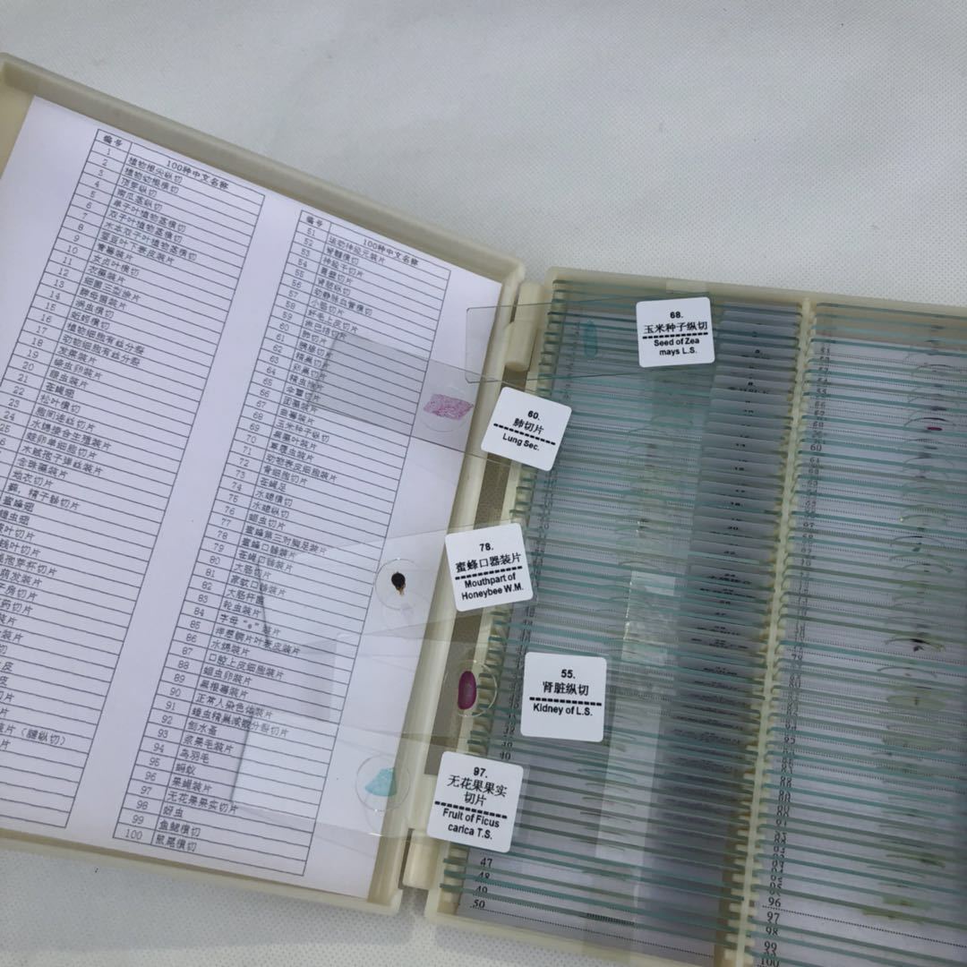 Microscope biological slice biological specimen specimen slice 100 pieces suit