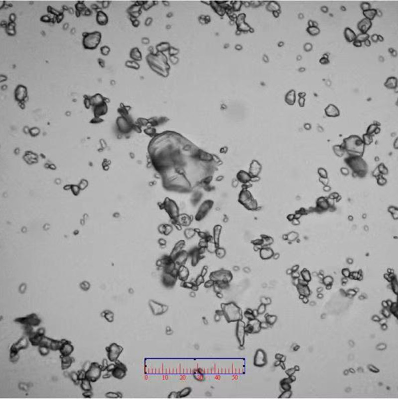 Micro Powder, Micro Powder, Digital Grade High Purity Epoxy Resin Adhesive Powder Coating Latent Curing Agent Bis-Cyanoamide