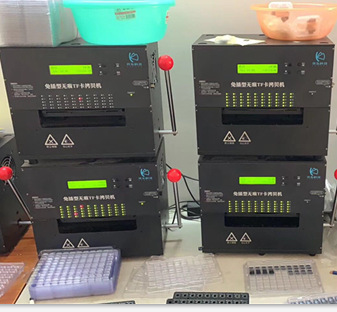 Factory wholesale 32G mobile phone storage card 256m 512M 2G 8G 16g driving recorder monitoring memory card