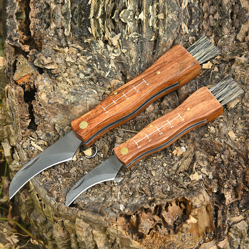 Rosewood mushroom knife multifunctional outdoor knife camping knife brush outdoor survival folding knife folding knife