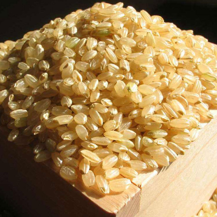 Supply low-temperature baking cereals bulk wholesale brown rice grain mill freshly ground cooked brown rice