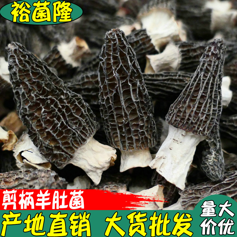 [yushanlong] Сушеные сморчки, сморчки с ручкой, мясистые и нежные, деликатесы отеля, вкусные сморчки