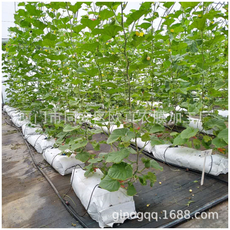 Pepper Planting Bag, Agricultural Greenhouse Outdoor Cultivation Substrate Planting Bag, White Outside and Black Inside Thickeneded Anti-Aging Bag