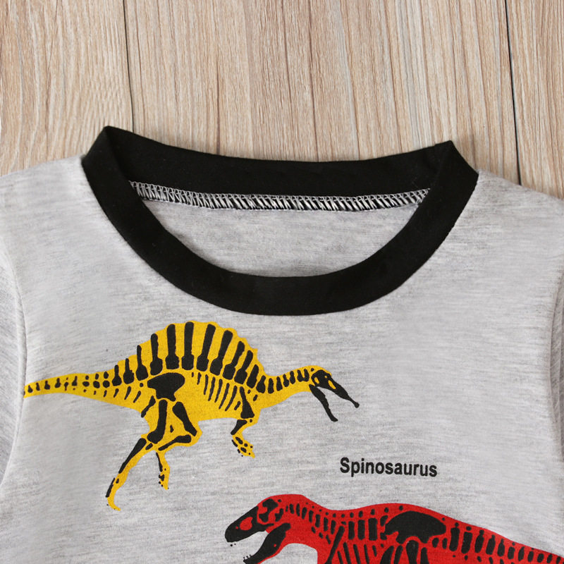 Children's European and American Spring and Autumn Boys Dinosaur Pattern Long Sleeve T-shirt + Trousers Two-Piece Home Clothes Children's Suit ins