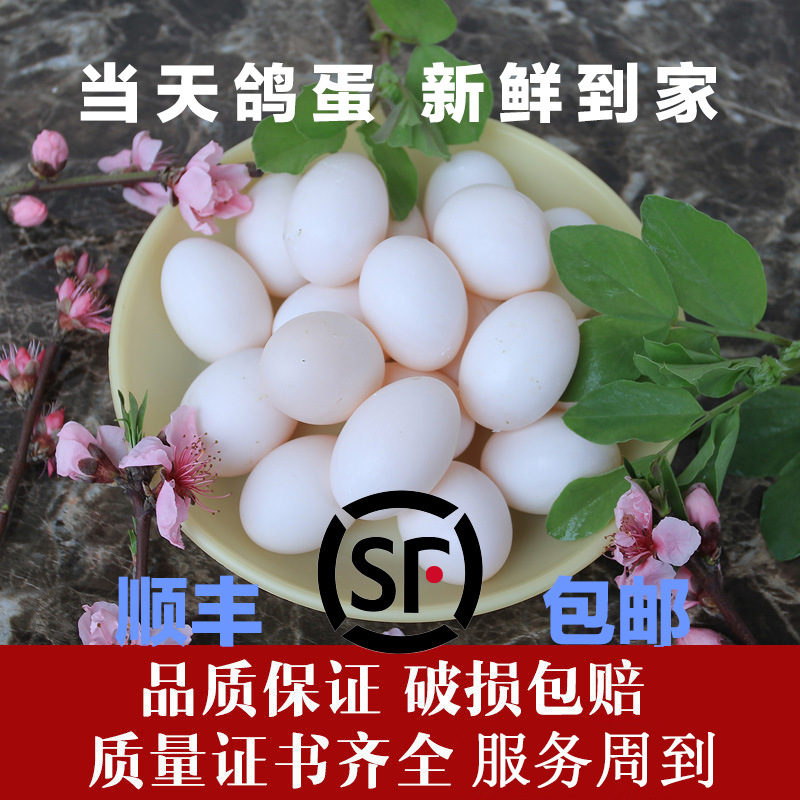 Бесплатная доставка, оптовый выбор 30 белых яиц голубей, свежие местные фермерские зерна, свободно гуляющие