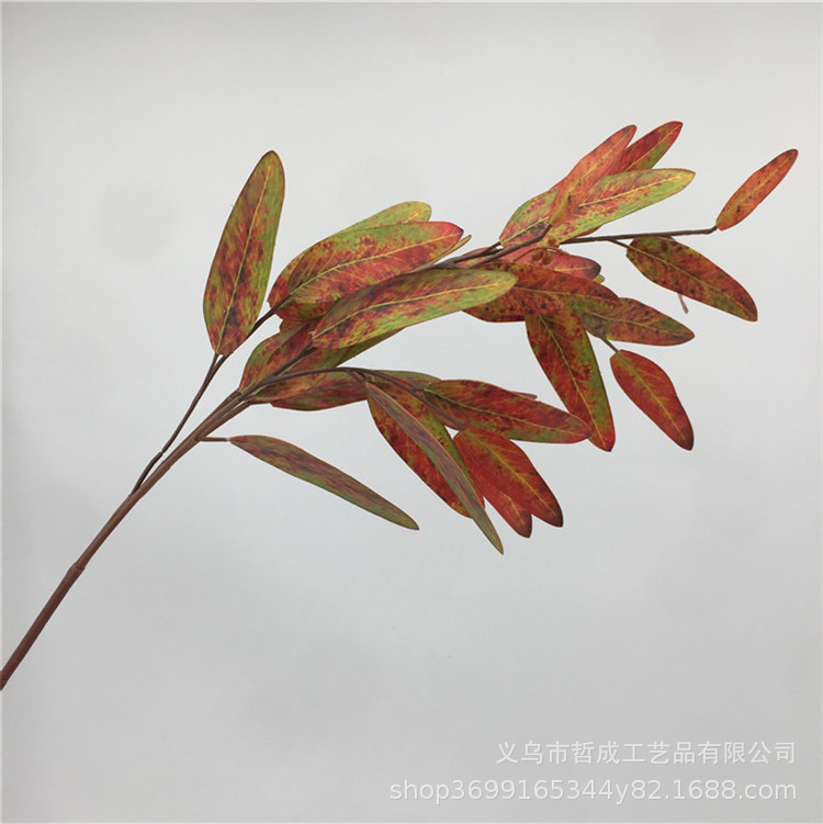 Искусственные листья эвкалипта с фруктами Фальшивые цветы Фальшивые листья Аксессуары для цветочных композиций Брендовые искусственные цветы