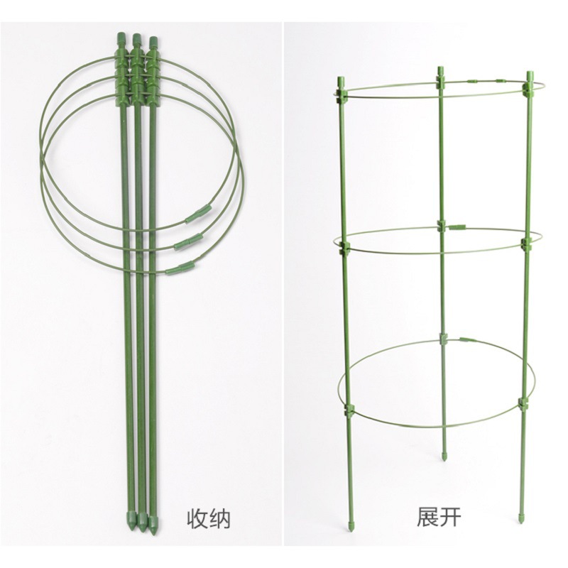 Cross-Border Flower Stand Plant Support Pole Column Clematis Rose Flower Climbing Frame Pothos Climbing Pergola Gardening Supplies