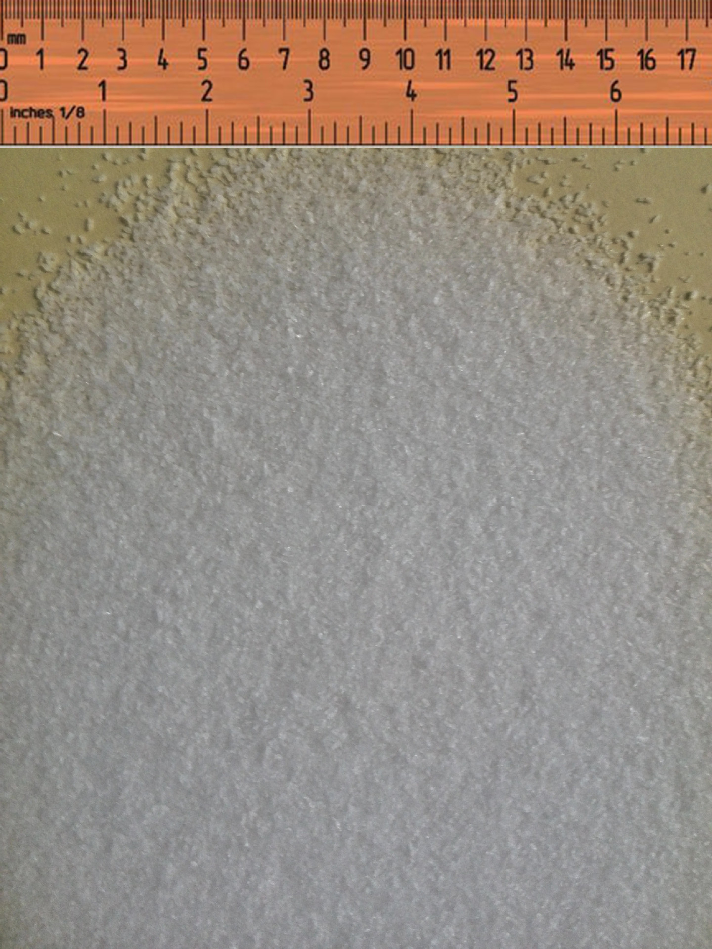 Msm Producer, Factory Direct Large Favorably, 20 Years of Production Experience