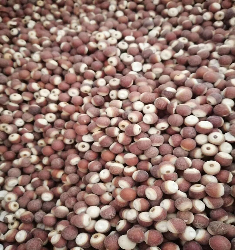 Directly Supplied from the Place of Origin, Zhaoqing Gorgon Rice, Round Capsuless, Zhaoqing Zhaoshi Gorgon Rice, Chicken Head Rice, Agricultural Products, Wholesale, Large Quantity and Excellent Price