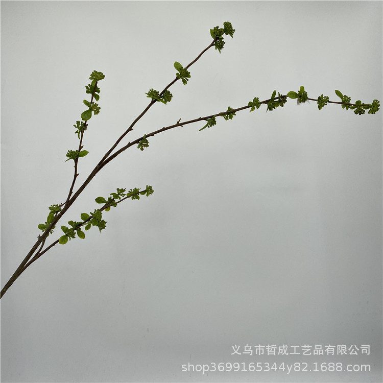 Doudou fruit artificial flower millet fruit bundle decoration hand-feeling glue fruit living room dining table floral artificial flower decoration