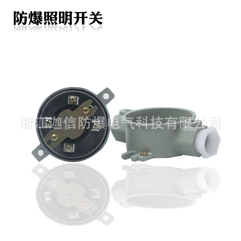 Sw-10 Explosion-Proof Lighting Switch 10A Waterproof and Dustproof Control Switch 220V380V Aluminum Alloy Explosion-Proof Switch