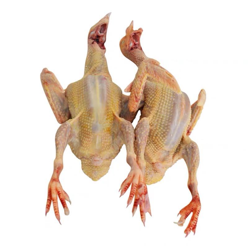 Su Shuangkang ® Old Pigeon Meat Soup, Farm-Raised Freshly Slaughtered Grass Pigeons, 5-Year-Old Large Meat Pigeons, Sf Chilled to Your Home