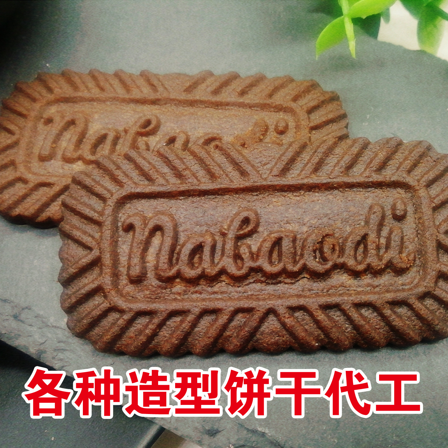 Customized Biscuits, Tough and Crispy Biscuits, Meal Replacement Biscuits, Oem Processing Manufacturer