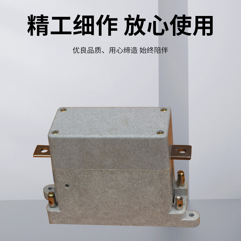 Hongxiu Vacuum Contactor Ckjp-1.14Kv Customizable Street Light Vacuum Contactor 80A Contactor