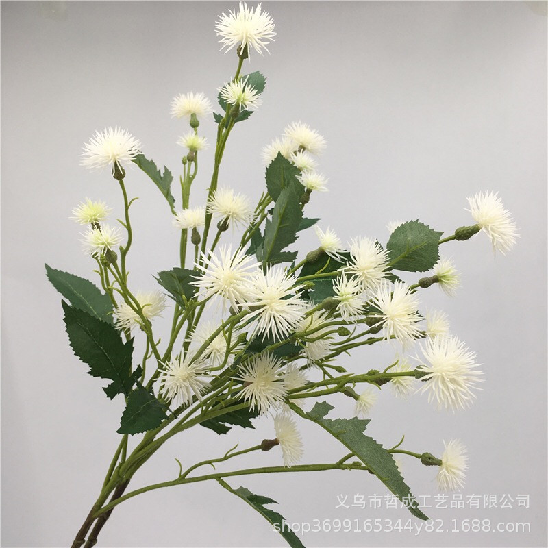Dandelion artificial flower vintage autumn Thorn celery flower wedding lobby floral soft decoration banquet auditorium flower arrangement star celery flower