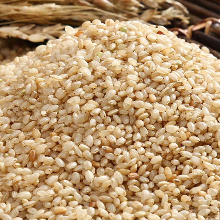 Supply low-temperature baking cereals bulk wholesale brown rice grain mill freshly ground cooked brown rice