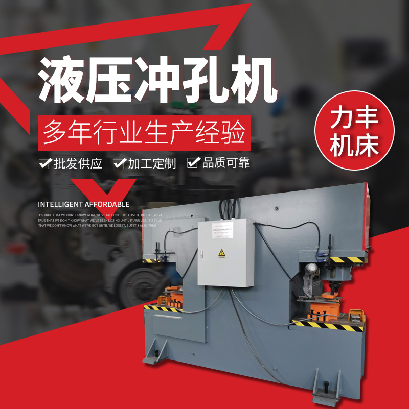 Stainless steel hydraulic punching machine multifunctional angle steel channel punching shearing machine hydraulic punching machine