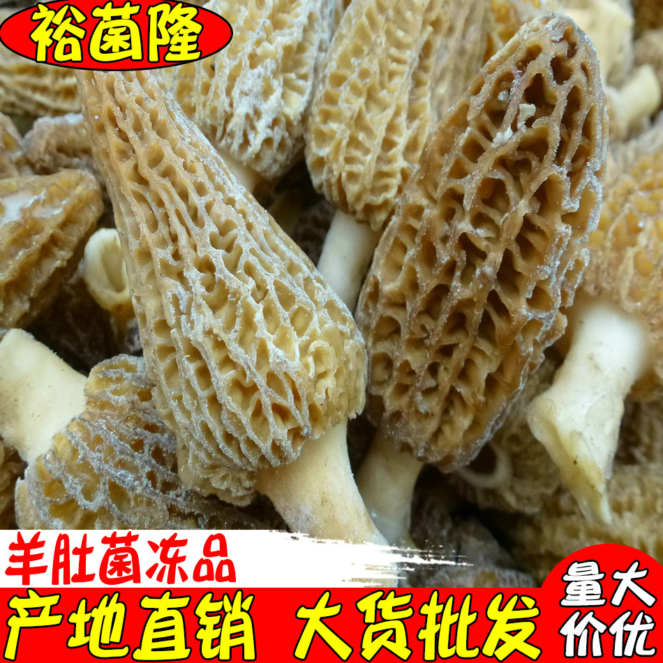 [yulianglong] Грибы сморчки оптовая продажа деликатесы из гор, вкусные сморчки, доступные