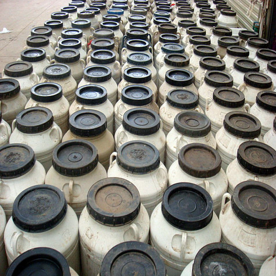 【Yujunlong】Red Milk Oyster Mushrooms, Salted Red Milk Oyster Mushrooms, Red Milk Mushrooms, Wild Yunnan Red Milk Oyster Mushrooms