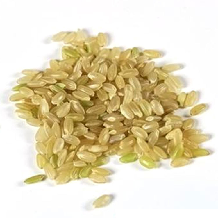 Supply low-temperature baking cereals bulk wholesale brown rice grain mill freshly ground cooked brown rice
