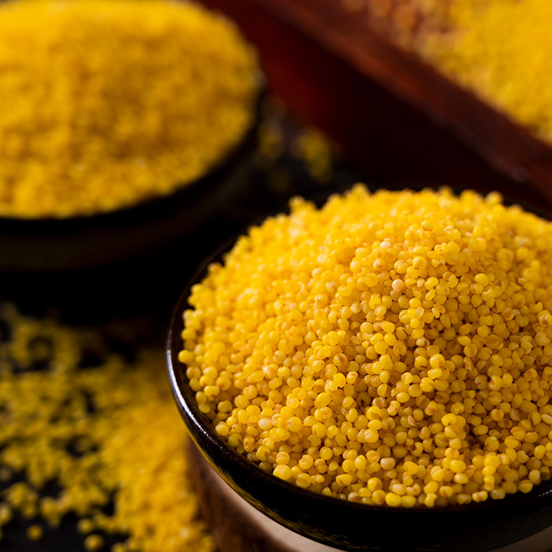 Yellow millet porridge small yellow rice 500g new millet Shanxi specialty Xinzhou wholesale a generation of yellow millet