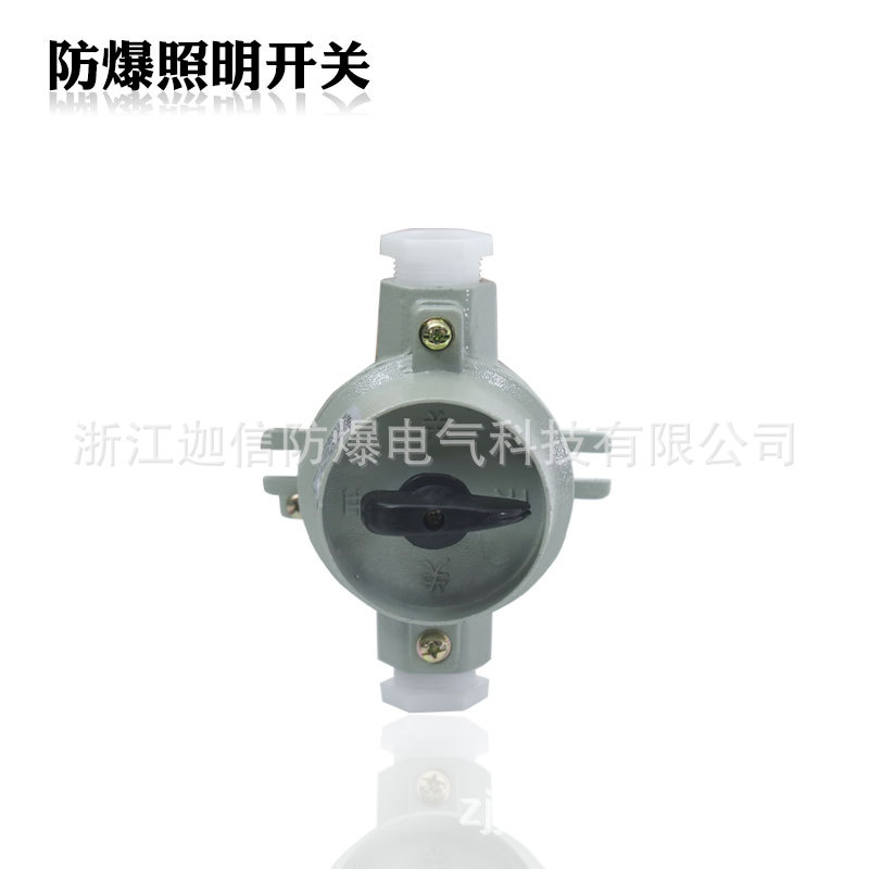 Sw-10 Explosion-Proof Lighting Switch 10A Waterproof and Dustproof Control Switch 220V380V Aluminum Alloy Explosion-Proof Switch