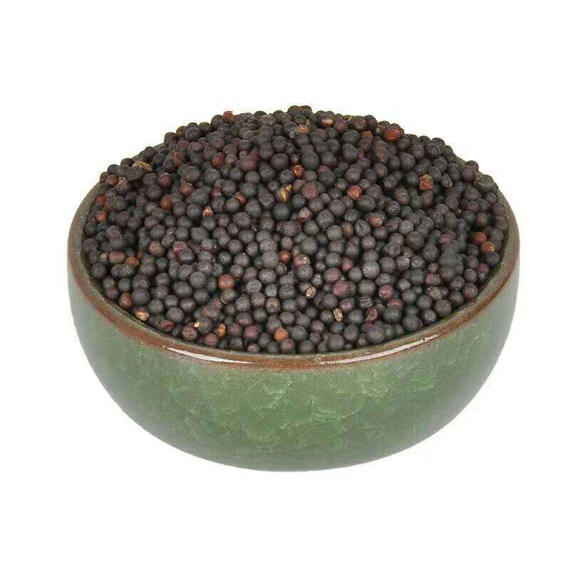 Factory wholesale rape seeds oil extraction ornamental rape seeds flower sea rapeseed seeds