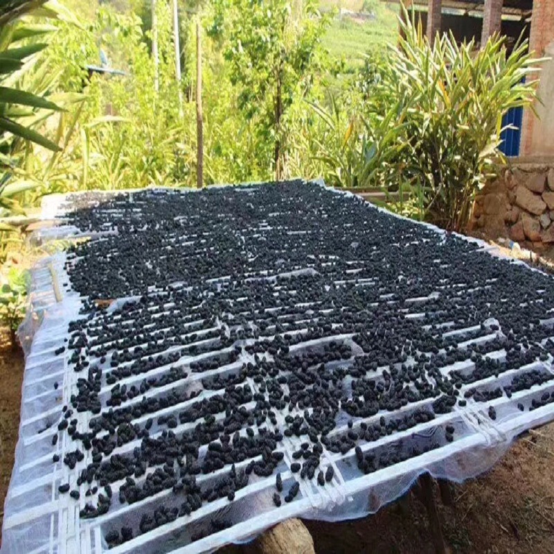 Sichuan Panzhihua Dried Mulberries Wholesale Black Mulberries 2025 New Crop Washed Sand-Free Mulberries 500g Free Shipping