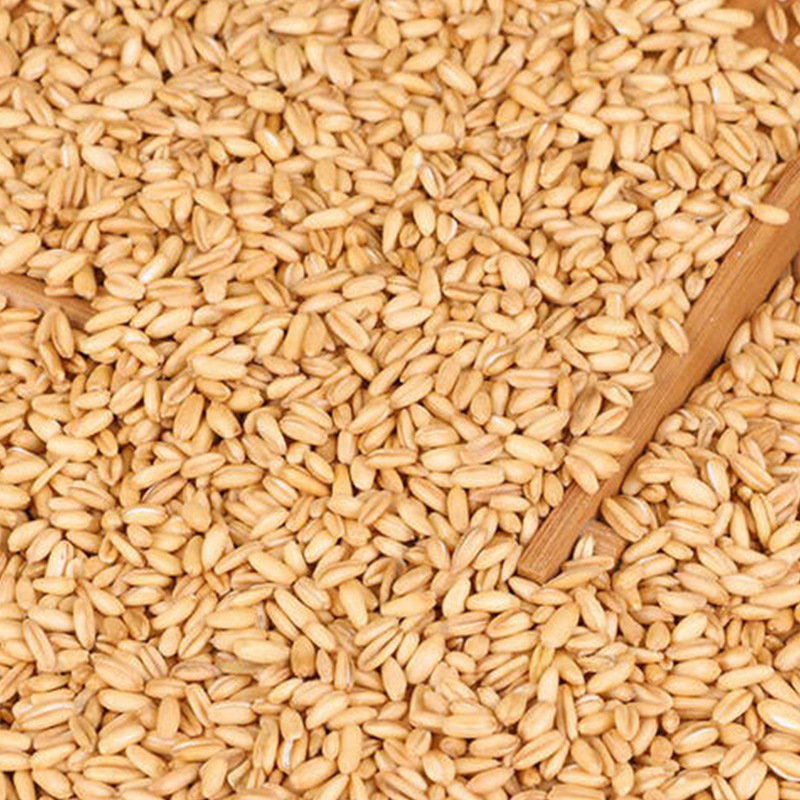 Cooked Oats and Grains Wholesale Cereals Bulk Goods Wholesale Low Temperature Baked Grains Mill Raw Materials Breakfast