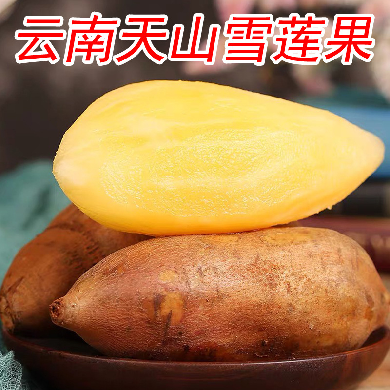 Юньнаньский фрукт снежного лотоса Тяньшань свежевскопанный красный песчаный хрустящий и сладкий сезонный 4.5кг упаковка