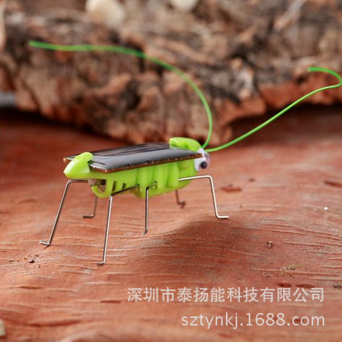 Factory Direct Sales Solar Grasshopper Solar Toy Grasshopper Solar Science and Education Simulation Bug Grasshopper