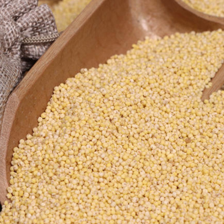 Manufacturer Wholesale Xiao Mi Grains Freshly Ground Mill Powder Raw Materials Bulk Low Temperature Baked Cooked Brown Rice