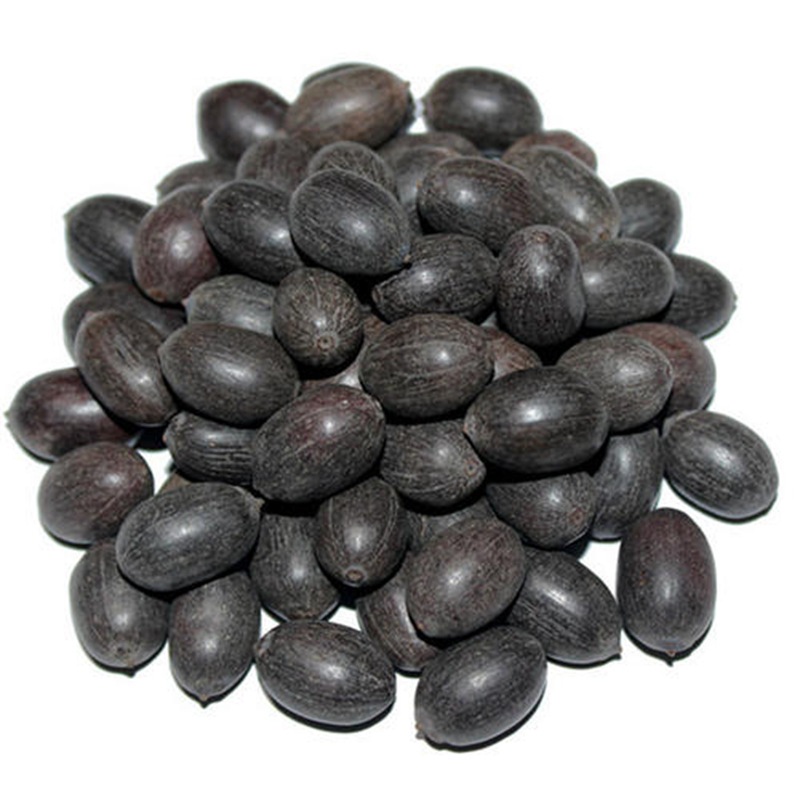 Lotus Seeds, Water Lily Seeds, Multi-Colored Large Water Lily Seeds, Bowl Lotus Seeds, Four-Season Blooming Seeds, Bowl Lotus Seeds