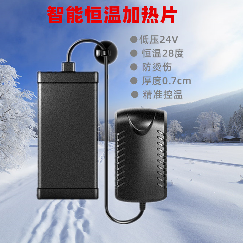 Fish tank turtle thin low water level 28 degree constant temperature heating rod 24V heater pet water dispenser heater