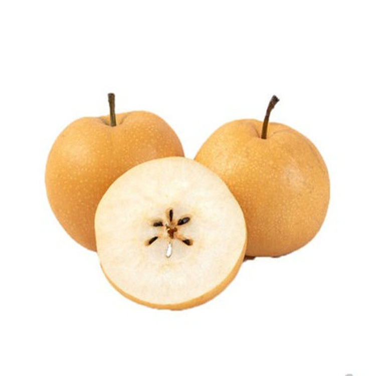 Golden Pear Saplings, Zaosu Red Pear Sapling Base Cultivation, Pear Sapling Planting and Management