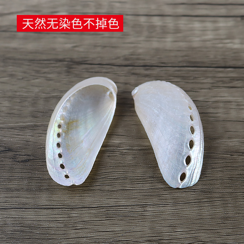 Natural Conch Abalone Shell Polished New Zealand Large Shell Donkey Ear Abalone Photo Props Fish Tank Landscape Decoration Wholesale