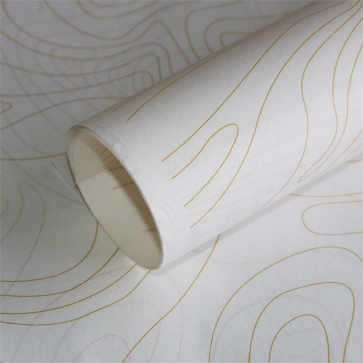 Sydney Paper Gift Wrapping Paper Shoes and Clothing Shoe Wrapping Paper Kraft Paper Copy Paper Custom Printing Logo