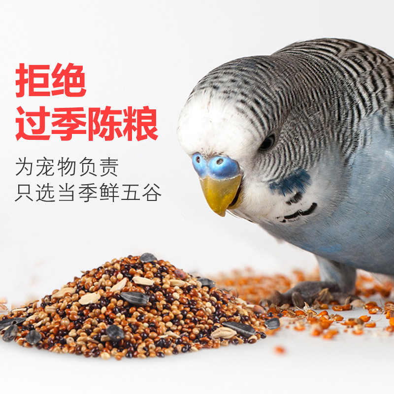 Chongshangtian Bulk Bird Food, Tiger Skin Cockatiel, Lovebird, Oil Sunflower, Parrot Food, Bird Food