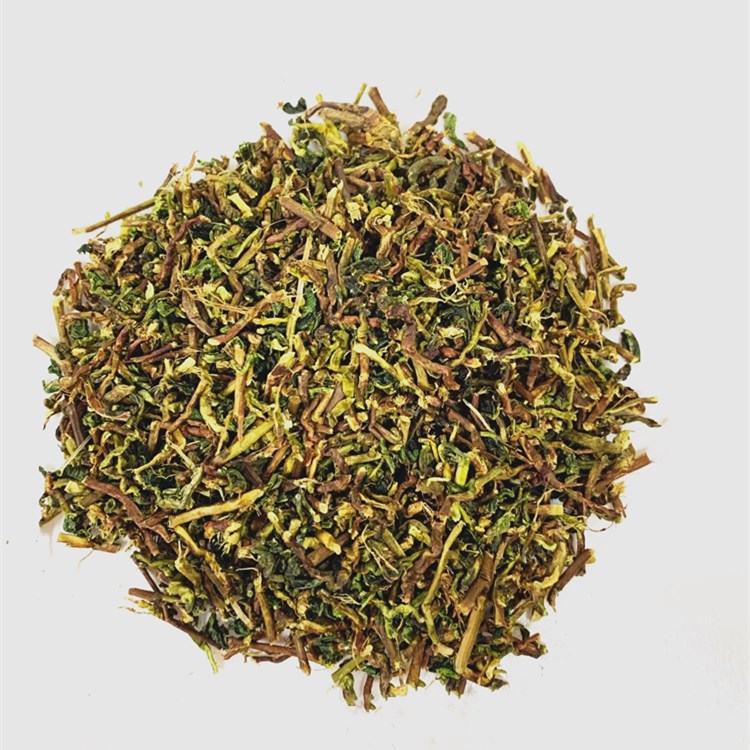 Wholesale Tieguanyin Tea Branches Corner New Home Tea Pole Tea New House New Car Formaldehyde-Absorbing Tieguanyin Tea Autumn Tea