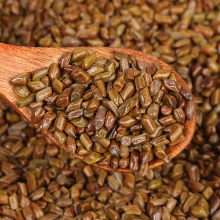 Cassia Seed Bulk Wholesale Fried Cassia Seed Tea Cassia Seed Toy Sand Kidsren's Beach Pillow Chinese Medicinal Materials