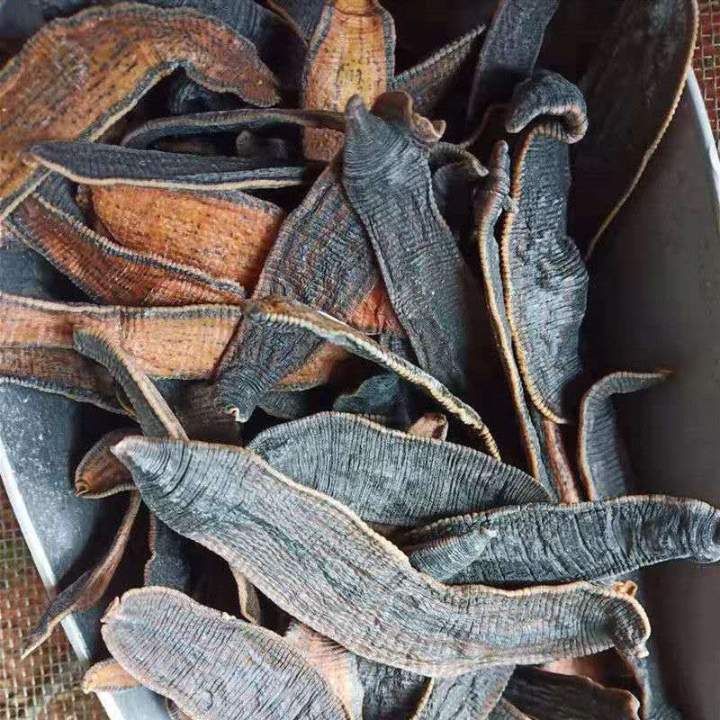 Leech Dry Goods, Scorpion and Centipede Dry Goods, Soil Element Dry Goods, Leech Dry Goods, 5 Leeches