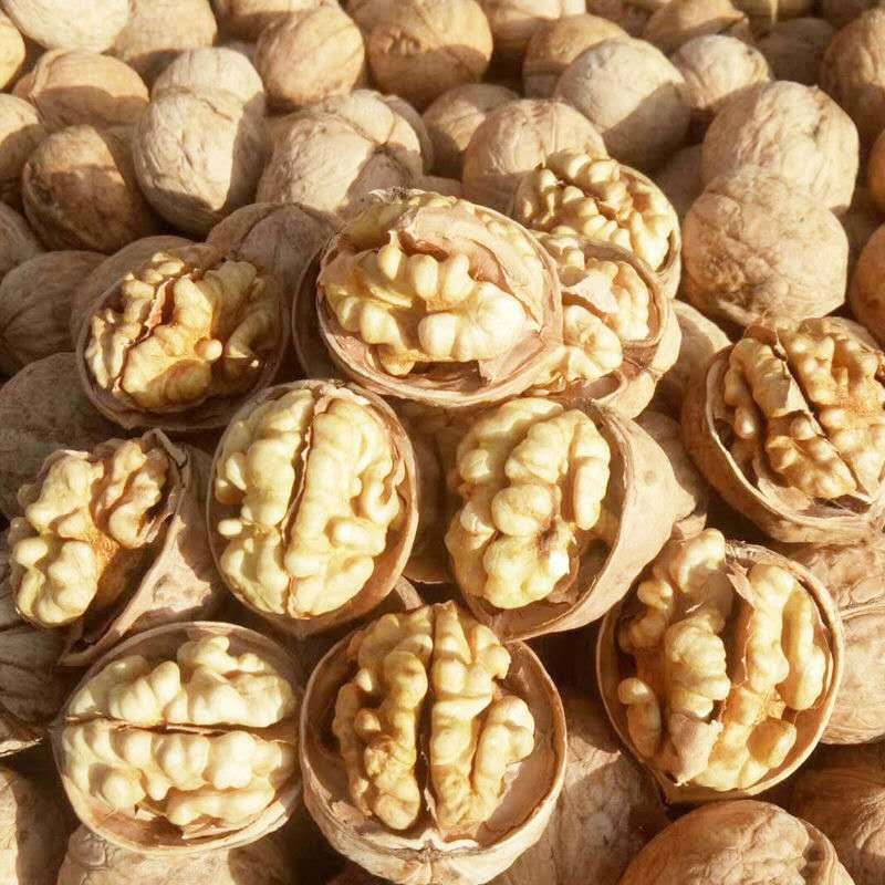 2025 New Xinjiang 185 Paper-Skinned Walnuts, Xinjiang Walnuts, Paper-Skinned Walnuts That Open Easily When Pressed, 500g Bagged
