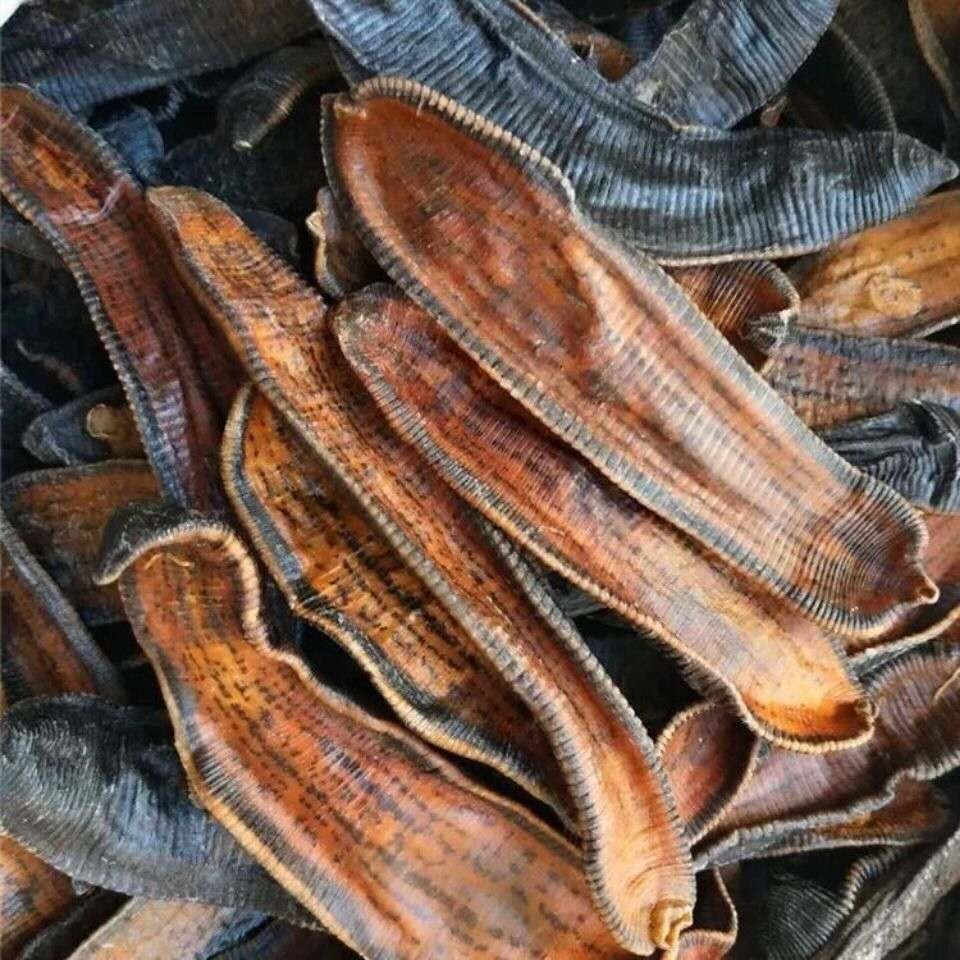 Сухие товары пиявки, сухие товары скорпионов и многоножек, сухие товары почвенных элементов, сухие товары пиявки, 5 пиявок