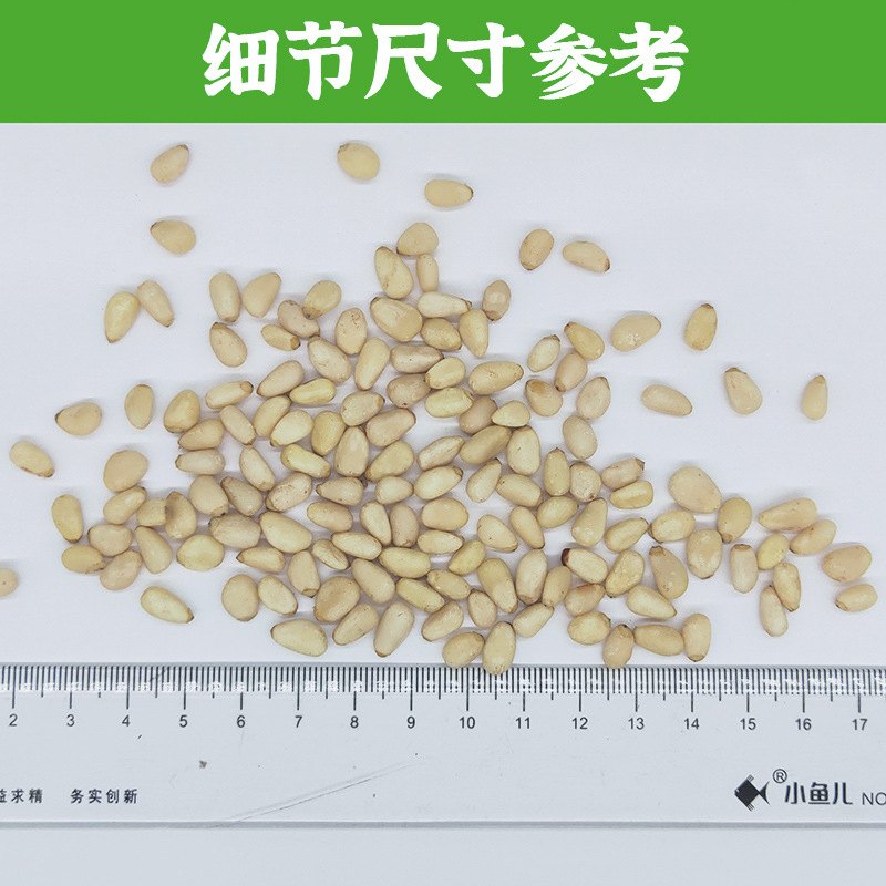 [Raw pine nuts] 500g vacuum packaging large particle pine nuts bulk new goods baking materials