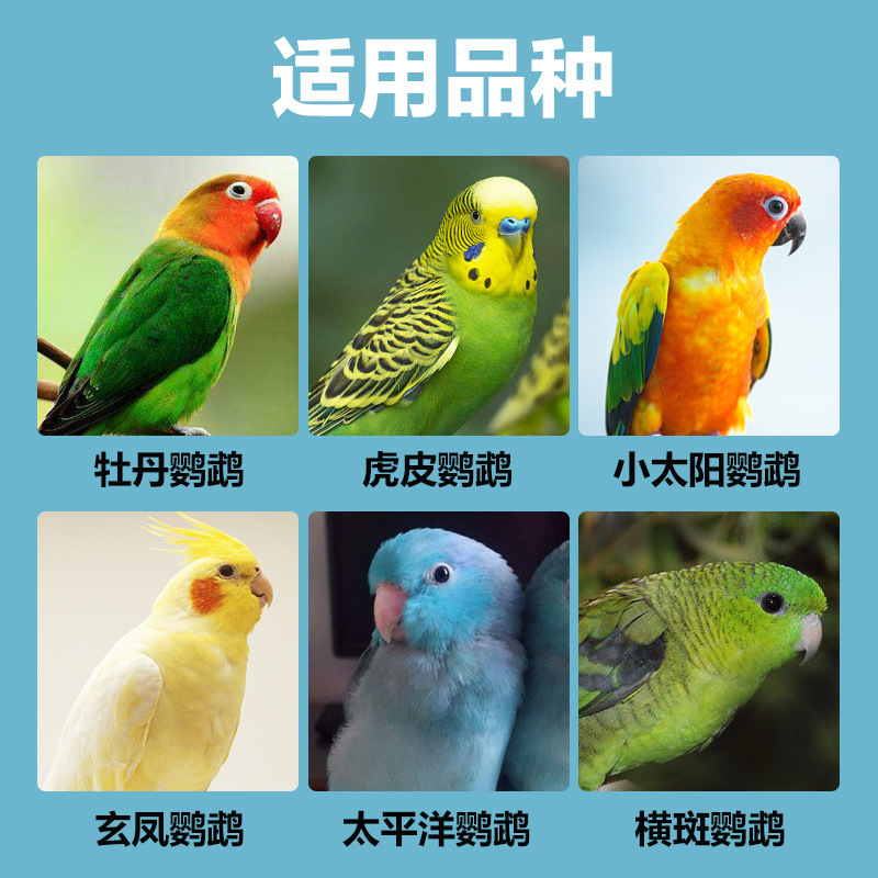 Chongshangtian Bulk Bird Food, Tiger Skin Cockatiel, Lovebird, Oil Sunflower, Parrot Food, Bird Food