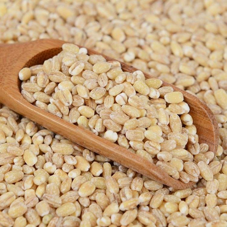 Bulk wholesale wheat kernels barley kernels peeled and peeled wheat rice farmer's own porridge with a generation of hair