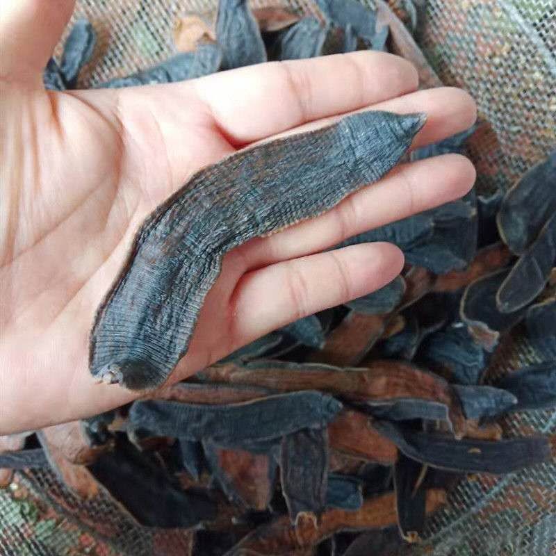 Leech Dry Goods, Scorpion and Centipede Dry Goods, Soil Element Dry Goods, Leech Dry Goods, 5 Leeches