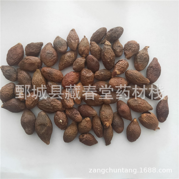 Fat Sea 500g Chinese Herbal Medicine Wholesale Supply for Tea with Fat Sea Large Favorably